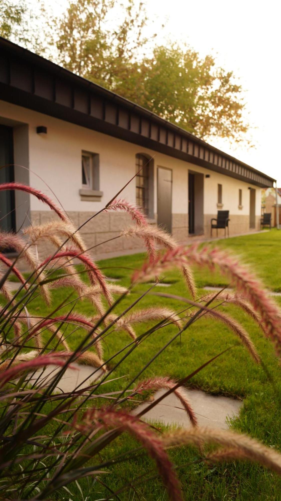 Remise Brasch - Zwischen Bahnhof Und Elbe Apartment Wittenberge Exterior photo